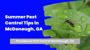 Summer Pest Control In McDonough, GA