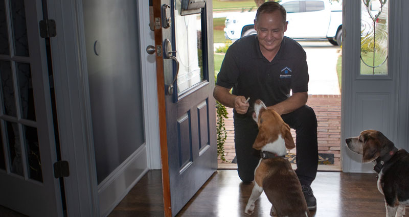 pet friendly pest control