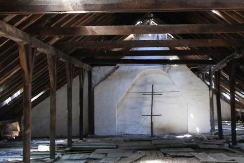 Bees vs. Wasps: What's Nesting Around Your Home? 3 attic
